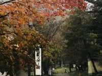 Okunikko Konishi Hotel  แช่ออนเซ็น ใบไม้เปลี่ยนสี