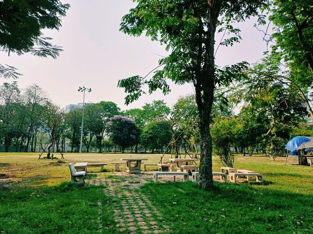 泰國曼谷市中心素坤逸區城市綠洲公園一日遊行程，親子遊行程，素坤逸繁華大道，適合打卡拍照📸親子遊