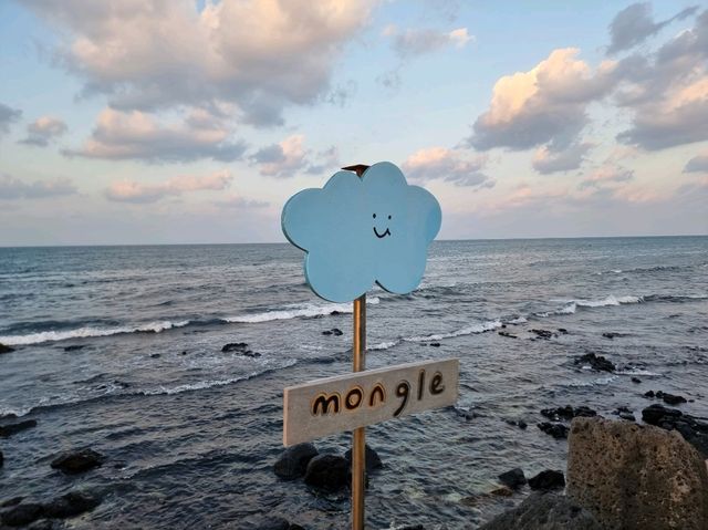 제주 기념품 간식 사기좋은 몽그레