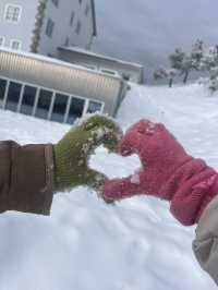 스위스에서 눈볼수 있는 산 추천 ! 