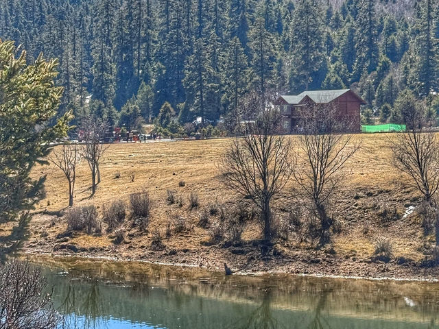 Lost in the Beauty of Yunnan: From Ancient Towns to Snowy Peaks! ❄🏯🌿