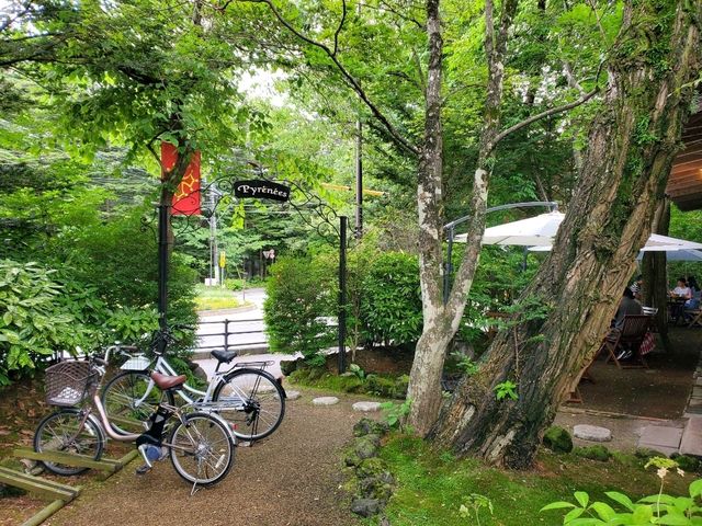 [🇯🇵軽井沢] 自転車で走る軽井沢 — 自然と爽快な風を感じる魅力的なサイクリング