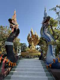 🍃 สัมผัสความสงบใจกลางธรรมชาติ ณ สวนนันทนา ขอนแก่น
