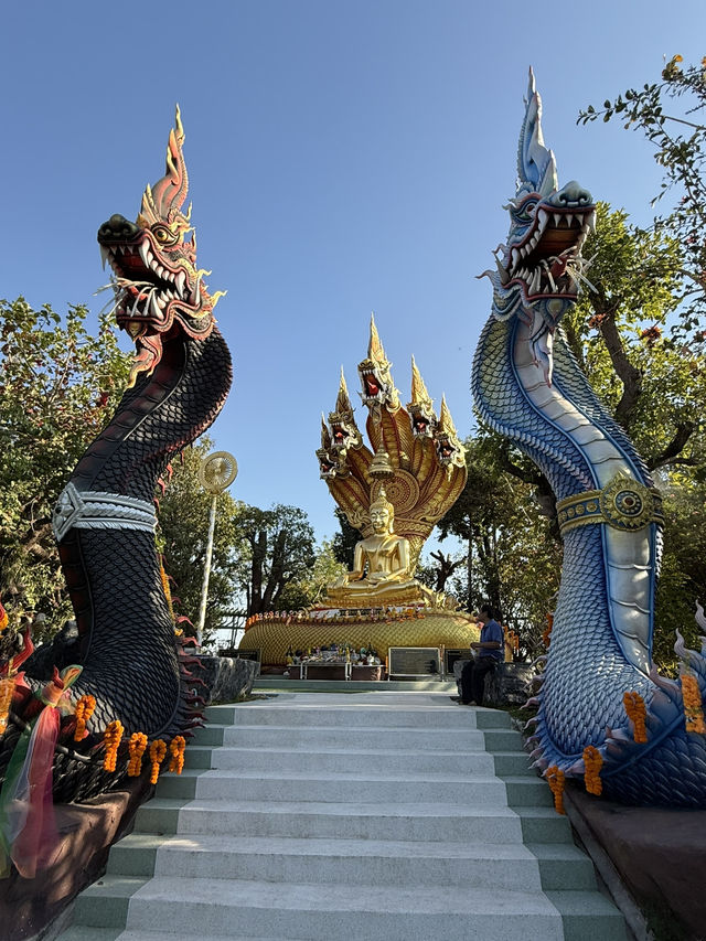 🍃 สัมผัสความสงบใจกลางธรรมชาติ ณ สวนนันทนา ขอนแก่น
