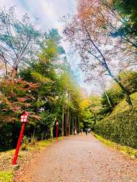 【日本山梨】新倉山淺間公園：步入秋天的畫卷