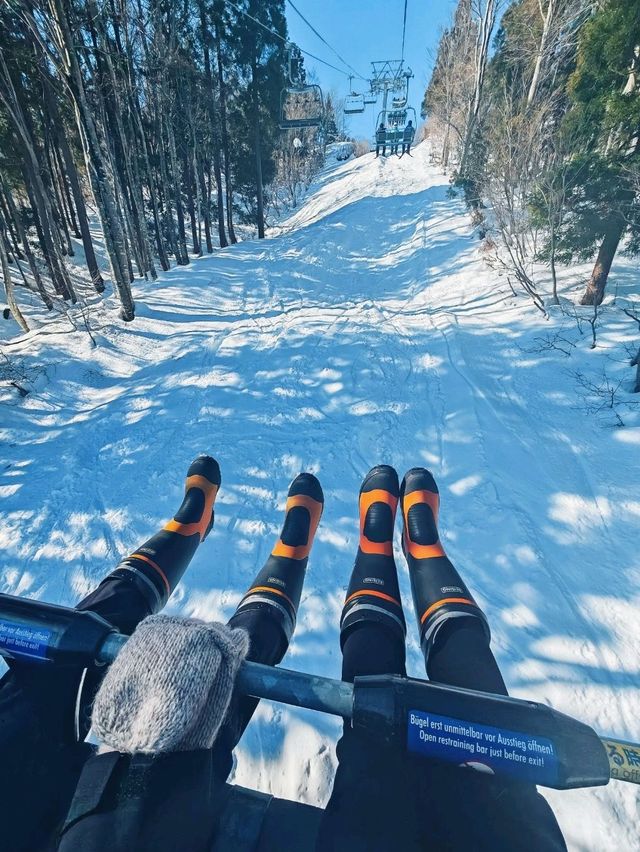 เล่นสกี ที่ Gala Yuzawa 
