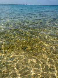 ザネー浜 – 沖縄の穴場ビーチ🌊🏝️