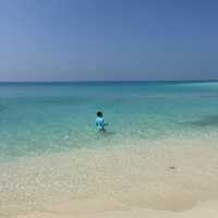 Maafushi Island ' 🌺🌴 ไปนอนเกาะโลคอลในประเทศมัลดี