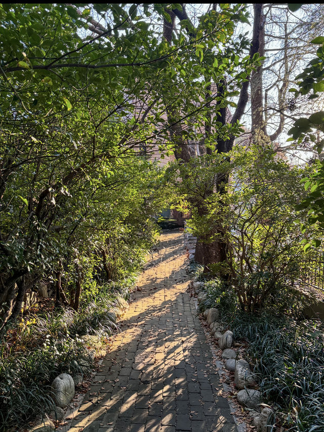 부산에 숨은 보석 같은 카페, 카페 만디✨
