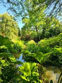Fletcher Moss Botanical Gardens