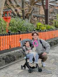 日本櫻花景點！祇園白川