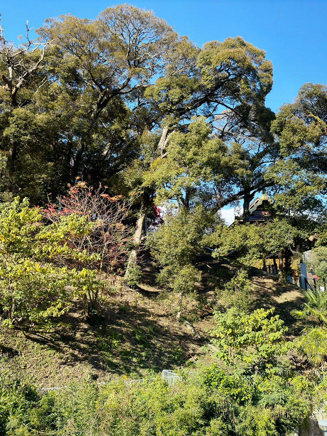 福岡｜西公園與南公園一日遊行程 🌳✨