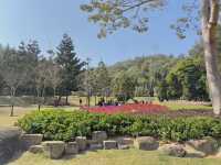  **🌸【廈門園林植物園】花卉園區：歐式花園裡的四季花海，邂逅浪漫與詩意！**  