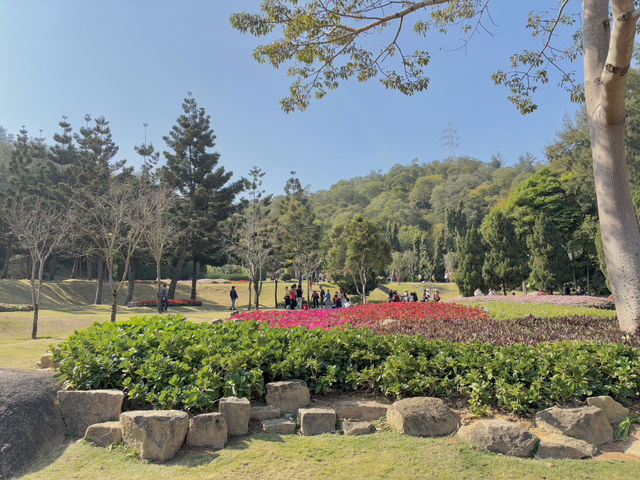  **🌸【廈門園林植物園】花卉園區：歐式花園裡的四季花海，邂逅浪漫與詩意！**  