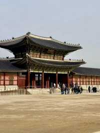 From Palaces to Alpacas: A Whirlwind Seoul Adventure