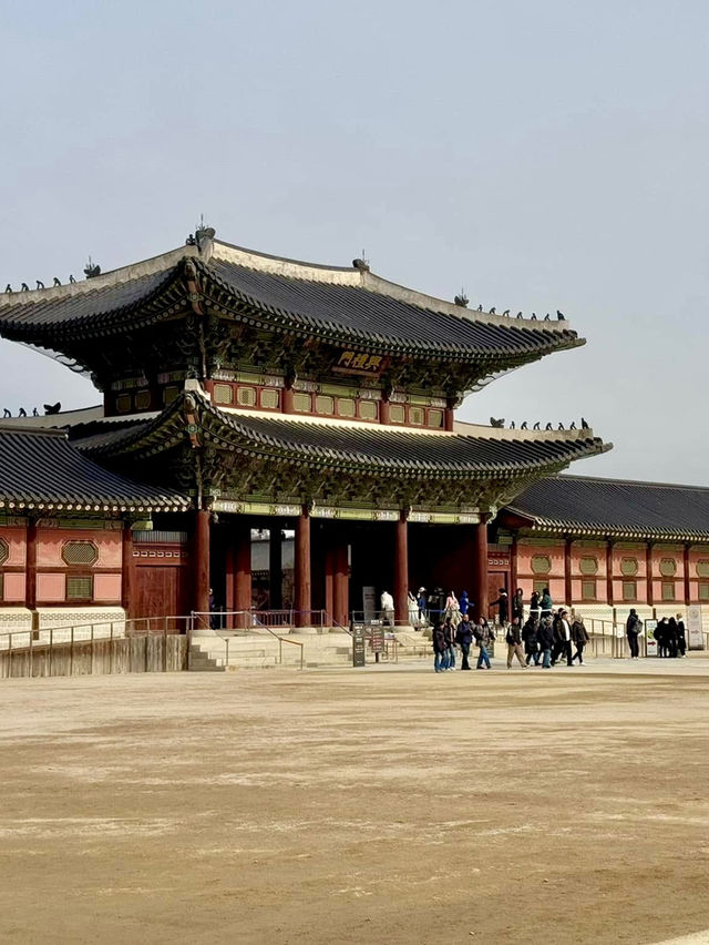 From Palaces to Alpacas: A Whirlwind Seoul Adventure