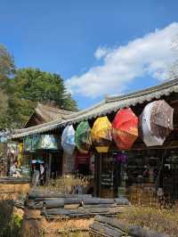 Chasing Cherry Blossoms: The Magic of Nami Island
