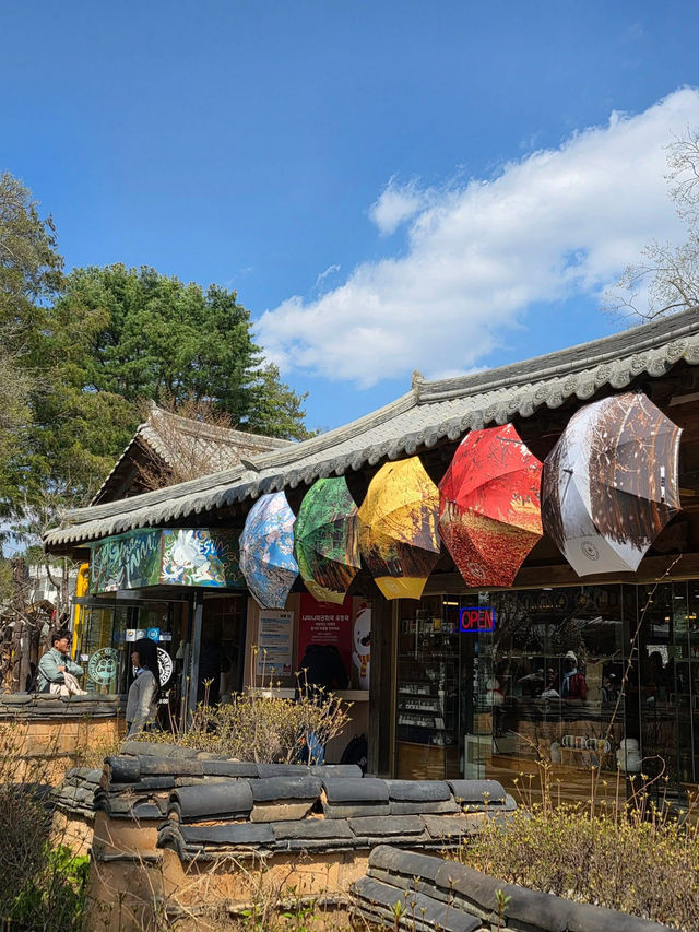 Chasing Cherry Blossoms: The Magic of Nami Island