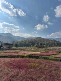 Walk Through the Heart of Pai