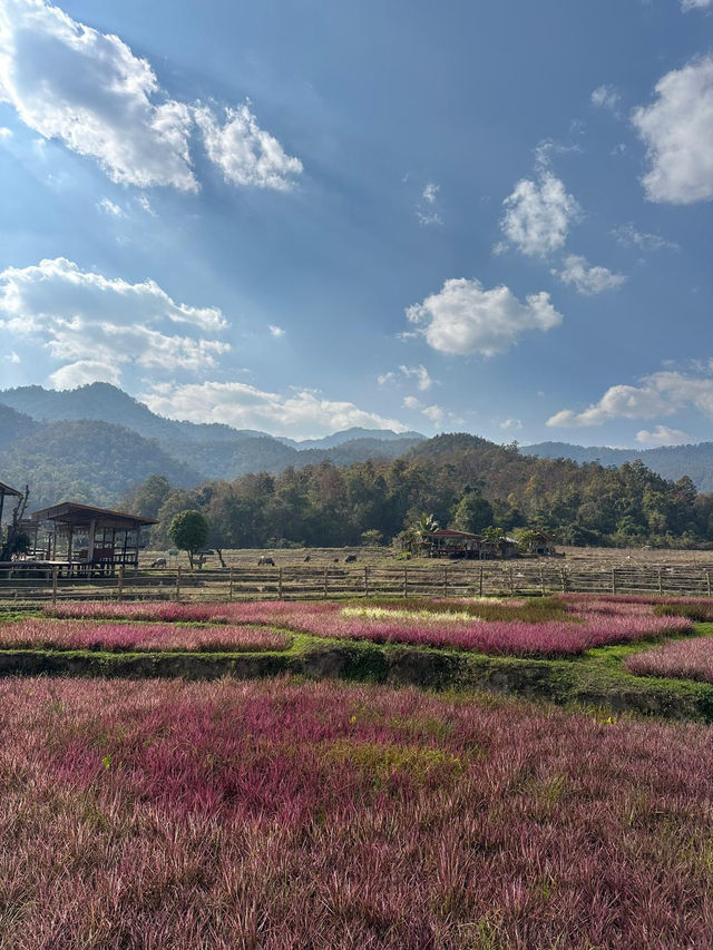Walk Through the Heart of Pai