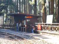 อาลีซาน 阿里山