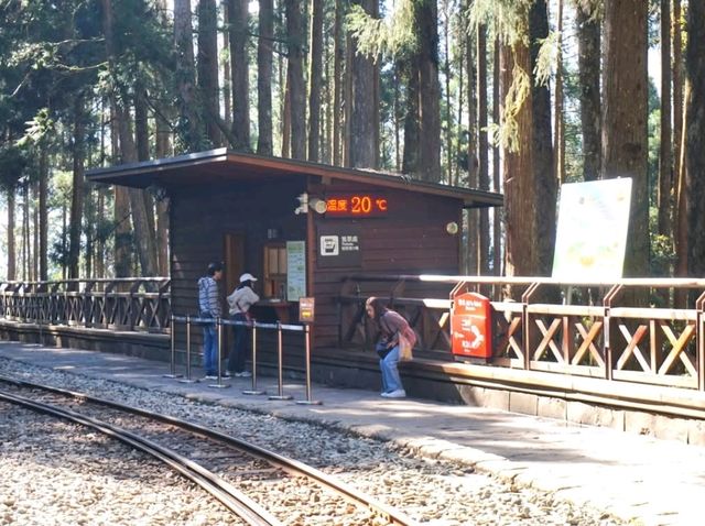 อาลีซาน 阿里山