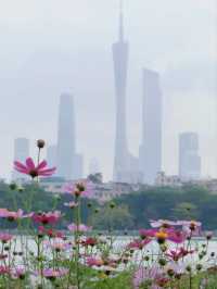 Haizhu Lake Park– Guangzhou’s Urban Wetland Oasis