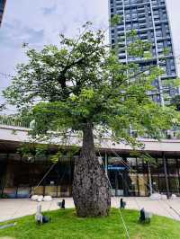 “SkyGarden Serenity: Lalaport’s Green Escape”
