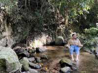 นอนแม่ลาย สายธรรมชาติ Bee forest