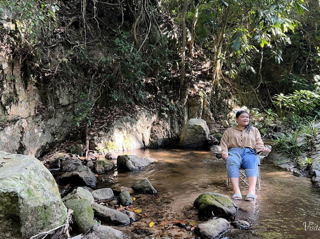 นอนแม่ลาย สายธรรมชาติ Bee forest