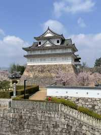 広島福山市｜春の名残に染まる、福山城の風景楽しむ公園