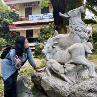 Exploring the Cultural Mosaic of TMII