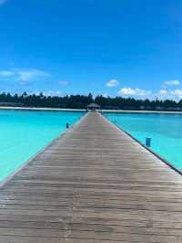 Maldives Magic: Paradise Found on Earth