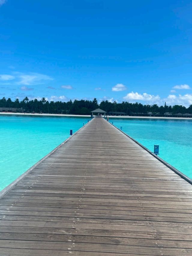 Maldives Magic: Paradise Found on Earth