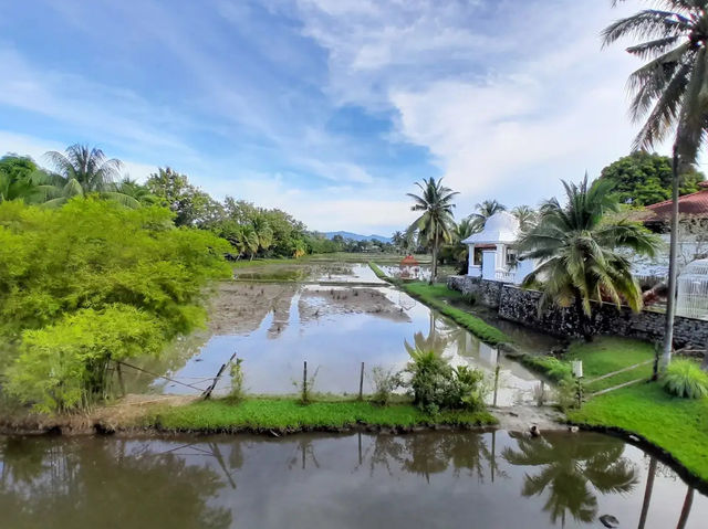 Laman Padi Langkawi