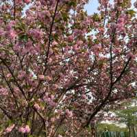 Gucun Park – Shanghai