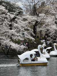 Inokashira Natural and Cultural Park