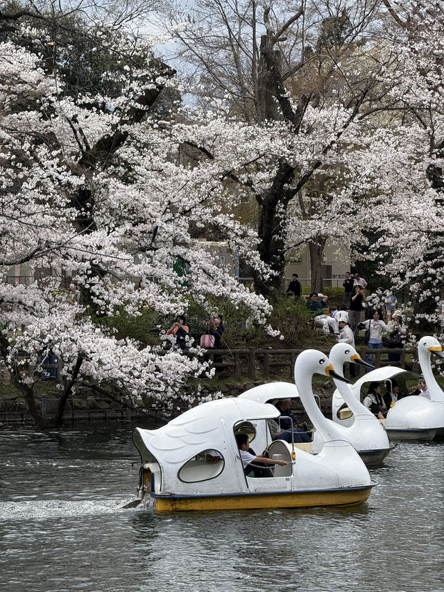 Inokashira Natural and Cultural Park