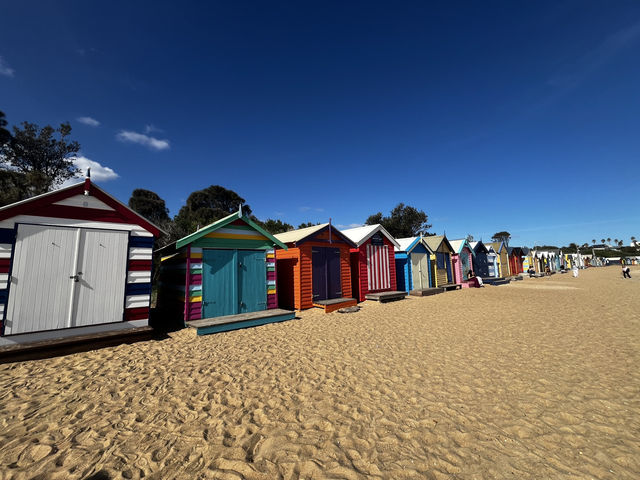 Discover the beauty of Melbourne Brighton Beach