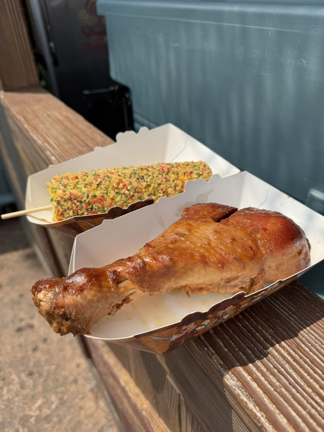 Magical Mayhem at Shanghai Disneyland – Worth Every Step!