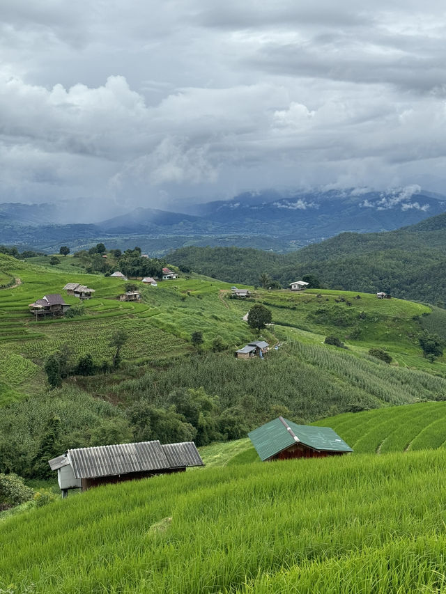 ที่พักบ้านป่าบงเปียง จ.เชียงใหม่ 🏡⛰️🌦️🌾