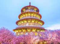 Tianyuan Temple Cherry Blossoms: Taiwan’s Most Divine Floral Sanctuary