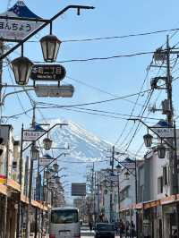Fuji’s Floral Majesty: The Timeless Beauty of Cherry Blossoms