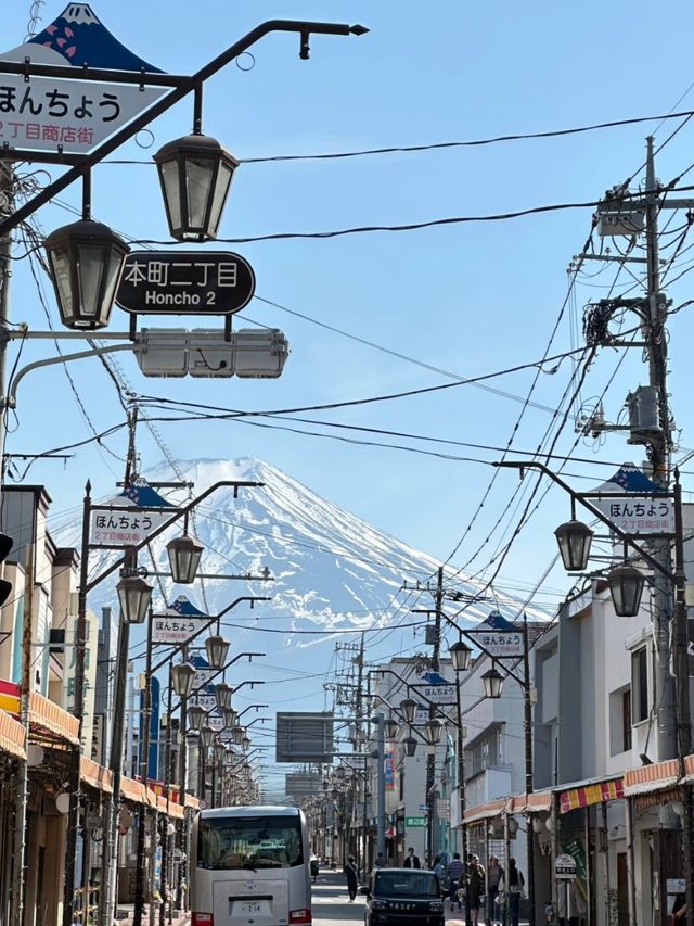 Fuji’s Floral Majesty: The Timeless Beauty of Cherry Blossoms