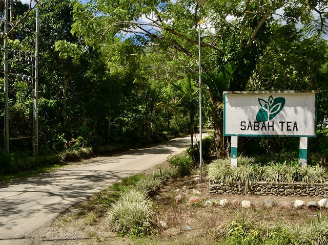 🌿✨ "Sabah Tea Resort: A Misty, Magical Escape in Borneo’s Tea Paradise!" ✨🌿  