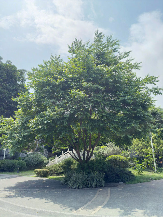 台北｜花博公園｜綠意盎然的城市綠洲