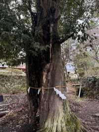 群馬県みなかみ町の「三峯神社」—垂れ耳の狛犬が迎える癒しの社