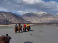 Nubra Valley - Leh Ladakh 🇮🇳🥰🐪🐫