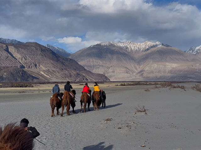 Nubra Valley - Leh Ladakh 🇮🇳🥰🐪🐫