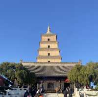 13-day Tour of Shanghai, Dezhou, Beijing, and More